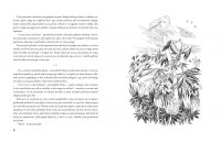 Przygody Alicji w Krainie Czarów, zdjęcie 9