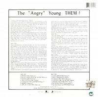 The "Angry" Young Them!, Winyl, zdjęcie 2