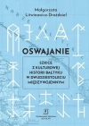 Oswajanie. Szkice z kulturowej historii Bałtyku w dwudziestoleciu międzywojennym - zdjęcie