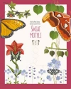 Świat motyli - zdjęcie