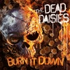 Burn it down. Limited Edition, CD + plakat - zdjęcie