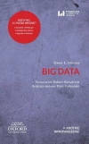 Big Data - zdjęcie