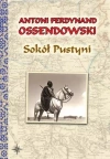Sokół pustyni - zdjęcie