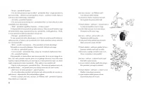 Przygody Alicji w Krainie Czarów, zdjęcie 7