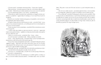 Przygody Alicji w Krainie Czarów, zdjęcie 10