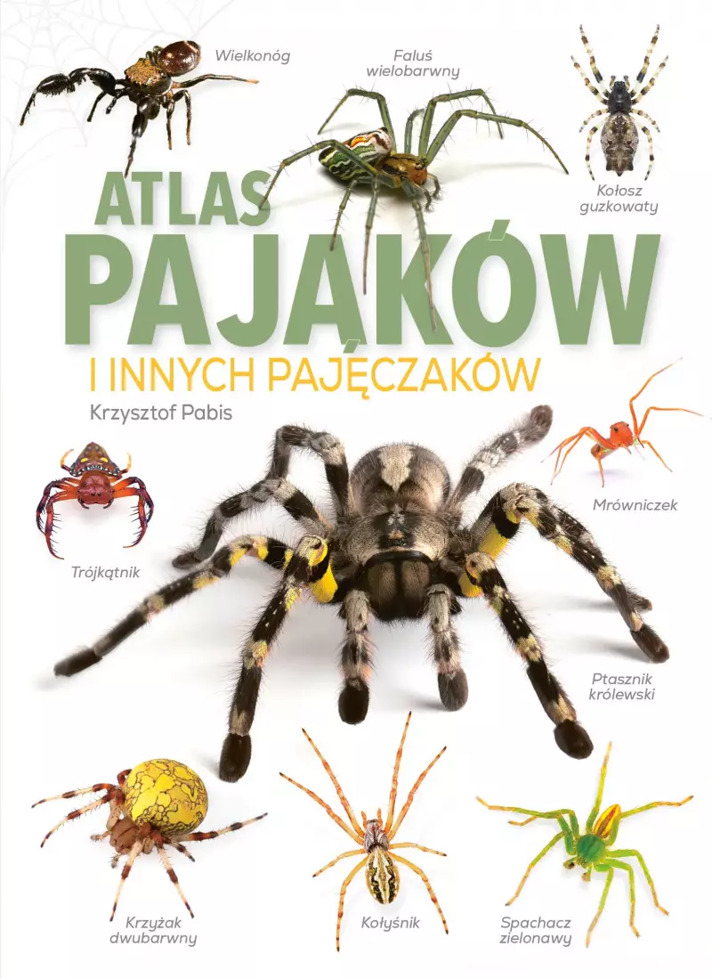 Atlas pająków i innych pajęczaków Atlas pająków i innych pajęczaków