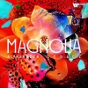 Magnolia - zdjęcie