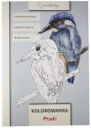 Kolorowanka Ptaki - zdjęcie