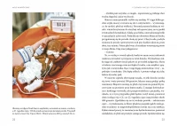 Moje nawrócenie z aborcji na medycynę chroniącą życie, zdjęcie 7