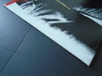 Sticky Fingers, Winyl, zdjęcie 9