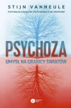 Psychoza. Umysł na granicy światów - zdjęcie