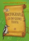 Ortografia, co do głowy trafia - zdjęcie