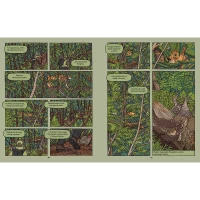 Rysie. Historie prawdziwe, zdjęcie 2