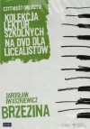 Brzezina, płyta DVD - zdjęcie