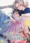 Zaślubiny świetlików. Tom 3 - zdjęcie