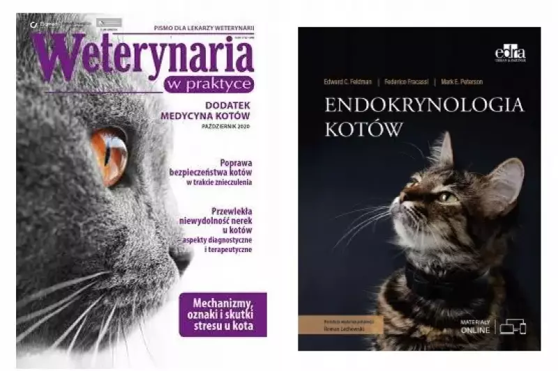 Endokrynologia kotów