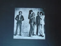Sticky Fingers, Winyl, zdjęcie 13