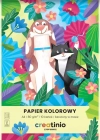 Papier Kolorowy A4/10k 80g Creatinio Fol A 20 - zdjęcie