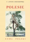Polesie - zdjęcie