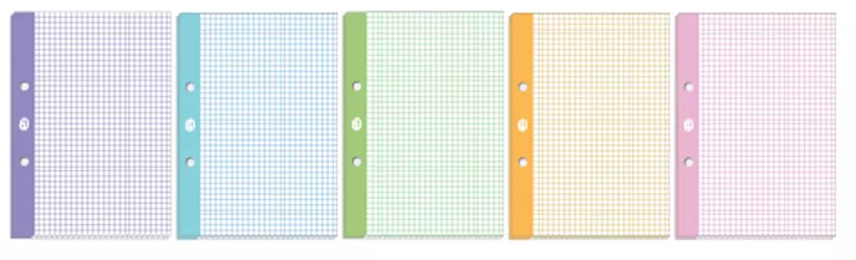 Wkład do segregatora A5/50k kratka Int Kol Fol A 5 - Papiernicze i szkolne