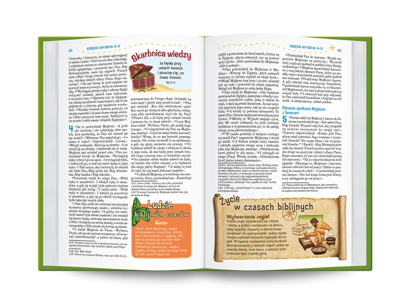 Pismo Święte dla młodych. Biblia tysiąclecia - Książki
