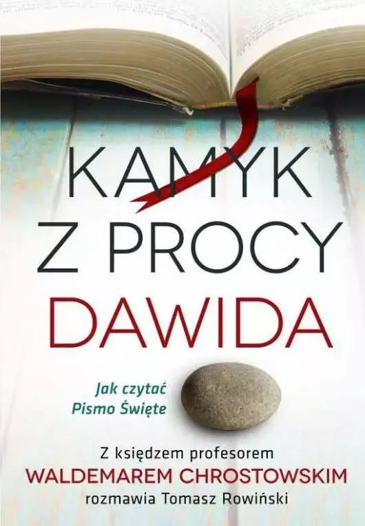 Kamyk z procy Dawida. Jak czytać Pismo Święte - Książki