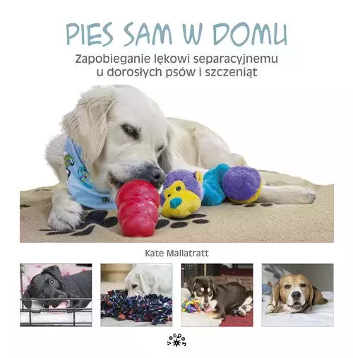 Pies sam w domu. Zapobieganie lękowi separacyjnemu u dorosłych psów i szczeniąt - Książki