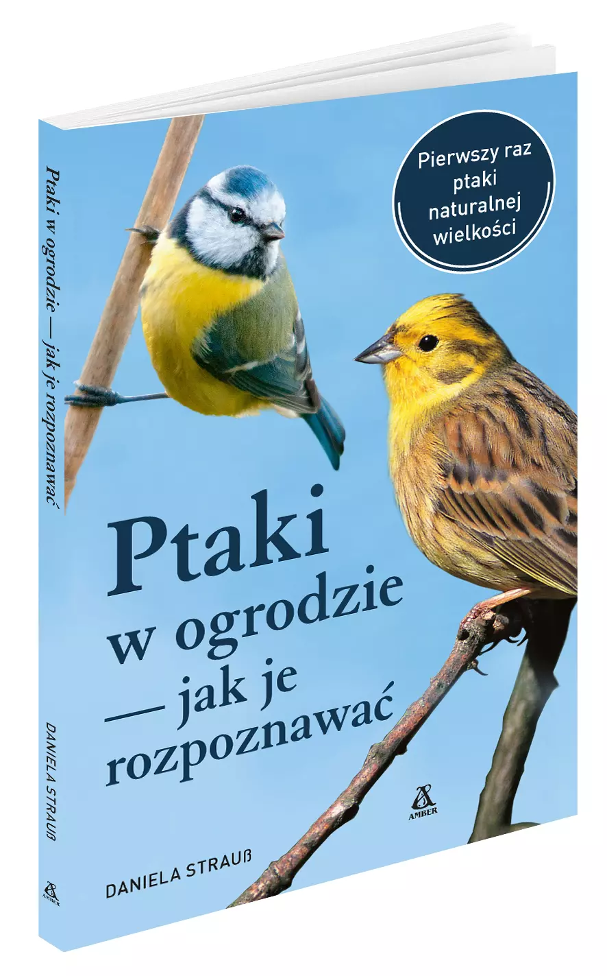 Ptaki w ogrodzie - jak je rozpoznawać - Książki