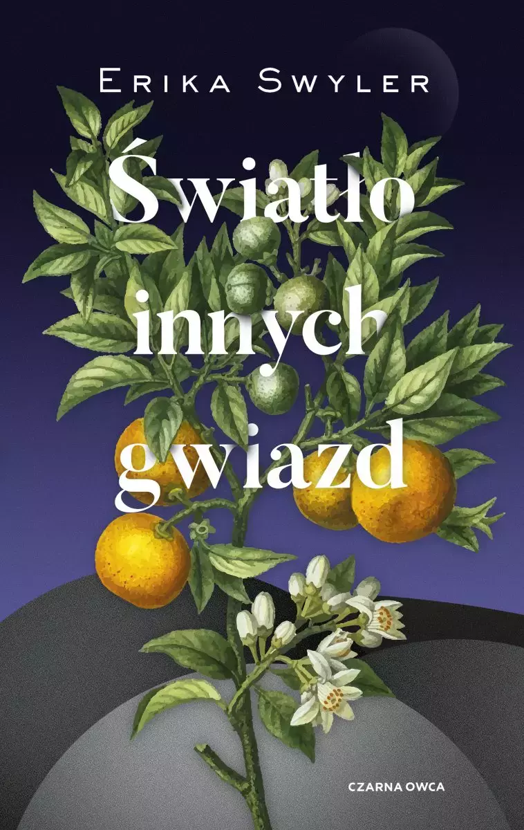 Światło innych gwiazd - Książki