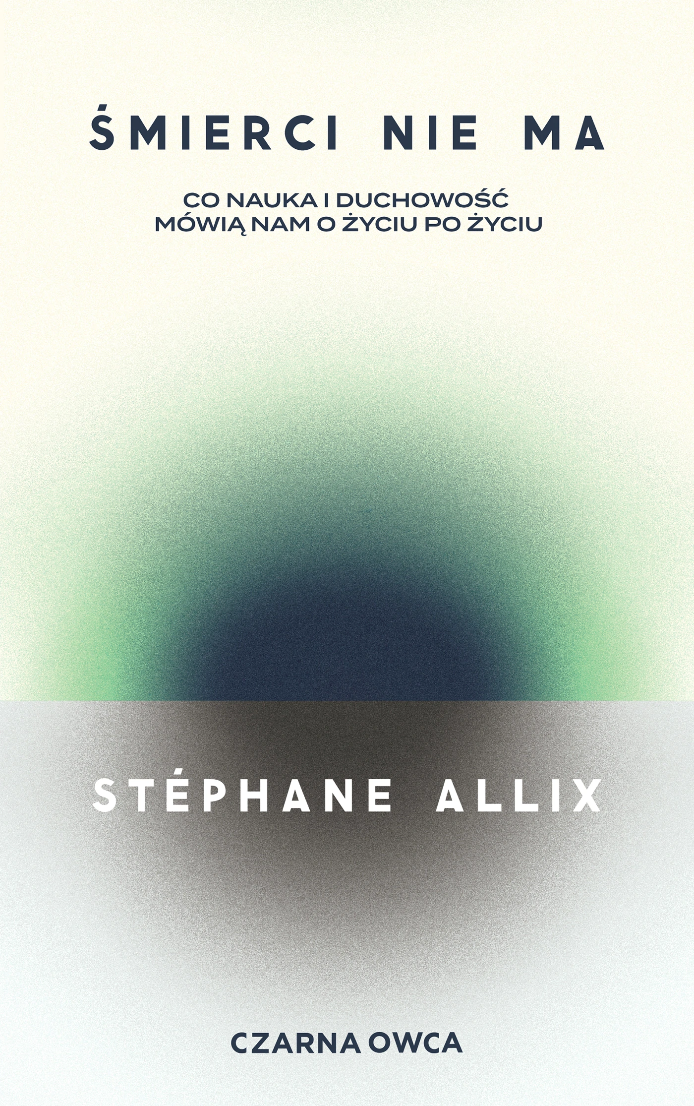 Śmierci nie ma. Co nauka i duchowość mówią nam o życiu po życiu - Książki