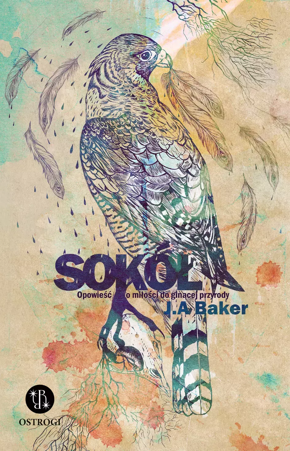 Sokół. Opowieść o miłości do ginącej przyrody - Książki
