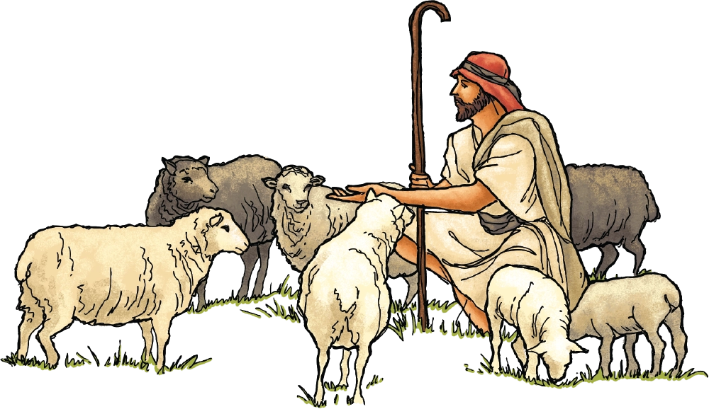Pismo Święte dla młodych. Biblia tysiąclecia - Książki