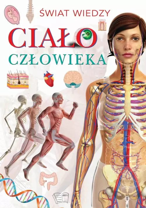 świat wiedzy. Ciało - Książki