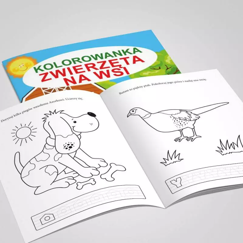 Kolorowanka. Zwierzęta na wsi - Książki