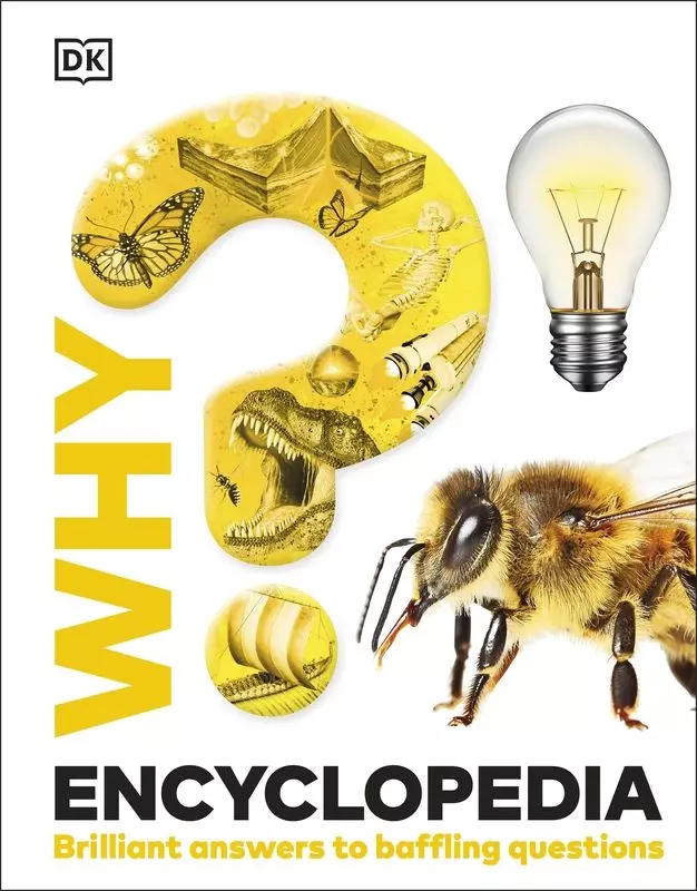 Why? Encyclopedia. Brilliant Answers to Baffling Questions wer. angielska - Książki
