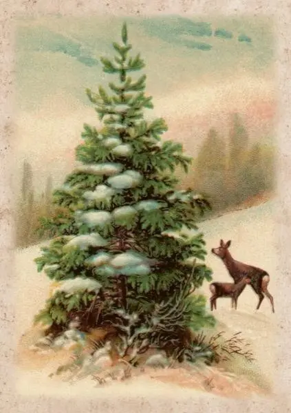 Karnet ST486 B6 + koperta Święta Choinka i sarny - Książki