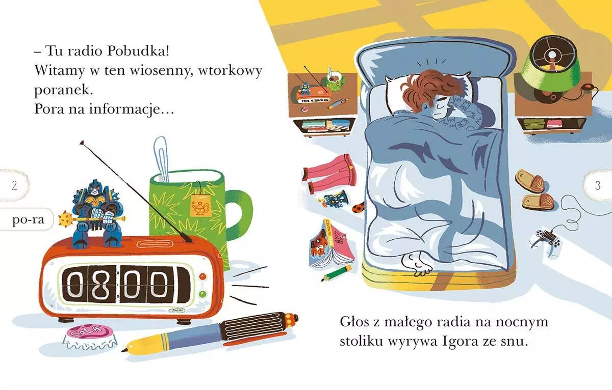 Czytam sobie. Poziom 2. Karate z bratem - Książki