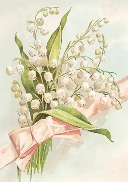 Karnet ST535 B6 + koperta Konwalie - Papiernicze i szkolne