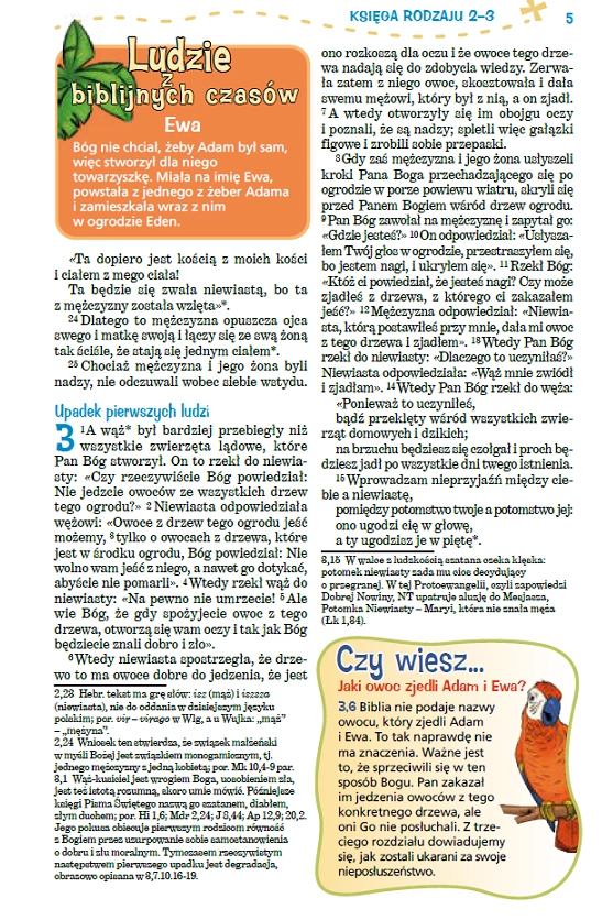 Pismo Święte dla młodych. Biblia tysiąclecia - Książki