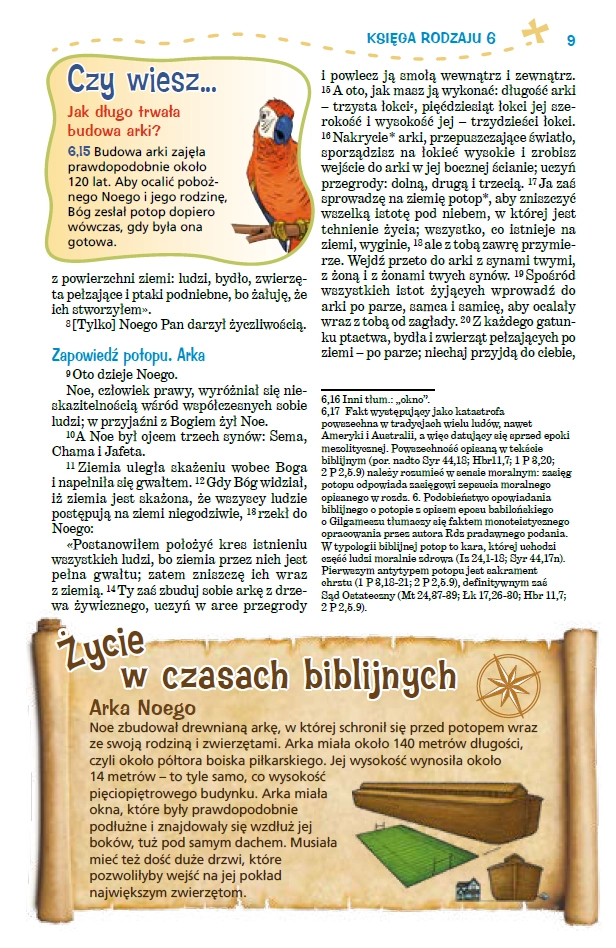 Pismo Święte dla młodych. Biblia tysiąclecia - Książki