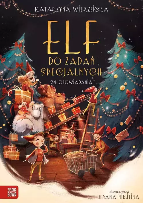 Elf do zadań specjalnych - Książki