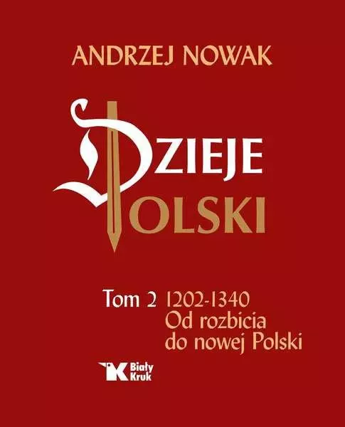 Dzieje Polski. Tom 2. Od rozbicia do nowej Polski - Książki