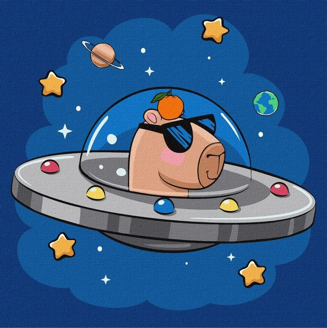 Malowanie po numerach - Kapibara w statku 30x30cm