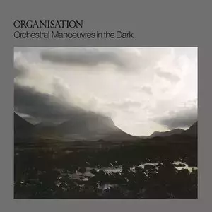Organisation. Winyl - Muzyka