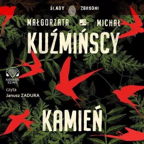 Kamień. Audiobook - Książki