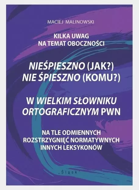 Nieśpieszno (jak?) Nie śpieszno (komu?) - Książki