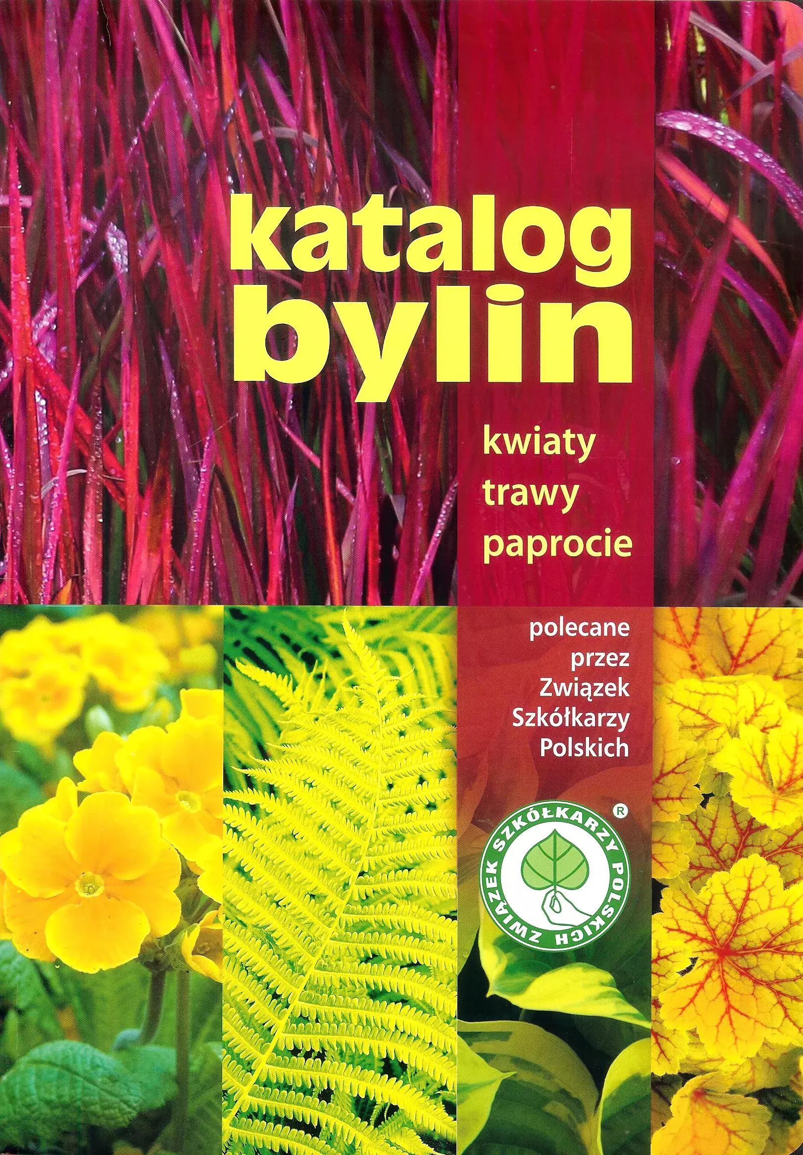 Katalog bylin. Kwiaty, trawy i paprocie polecane przez Związek Szkółkarzy Polskich - Książki