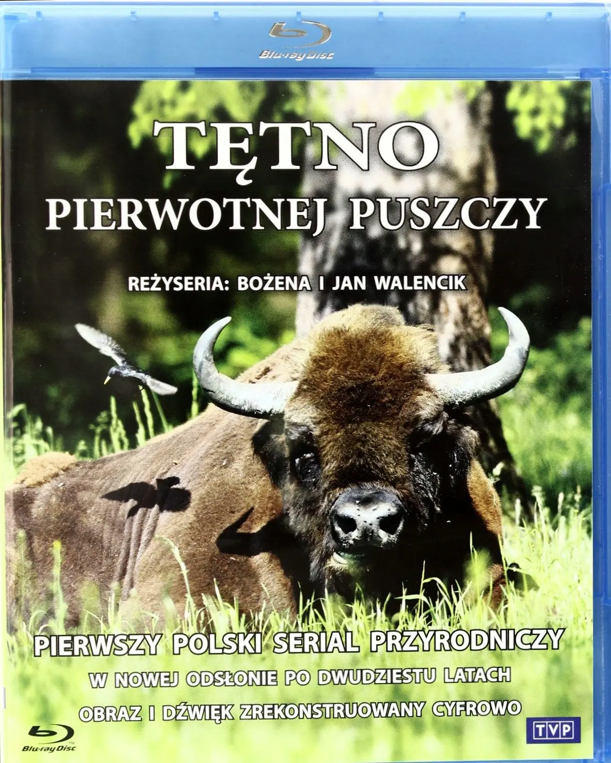 TĘTNO PIERWOTNEJ PUSZCZY BLU-RAY, płyta Blu-ray - Filmy