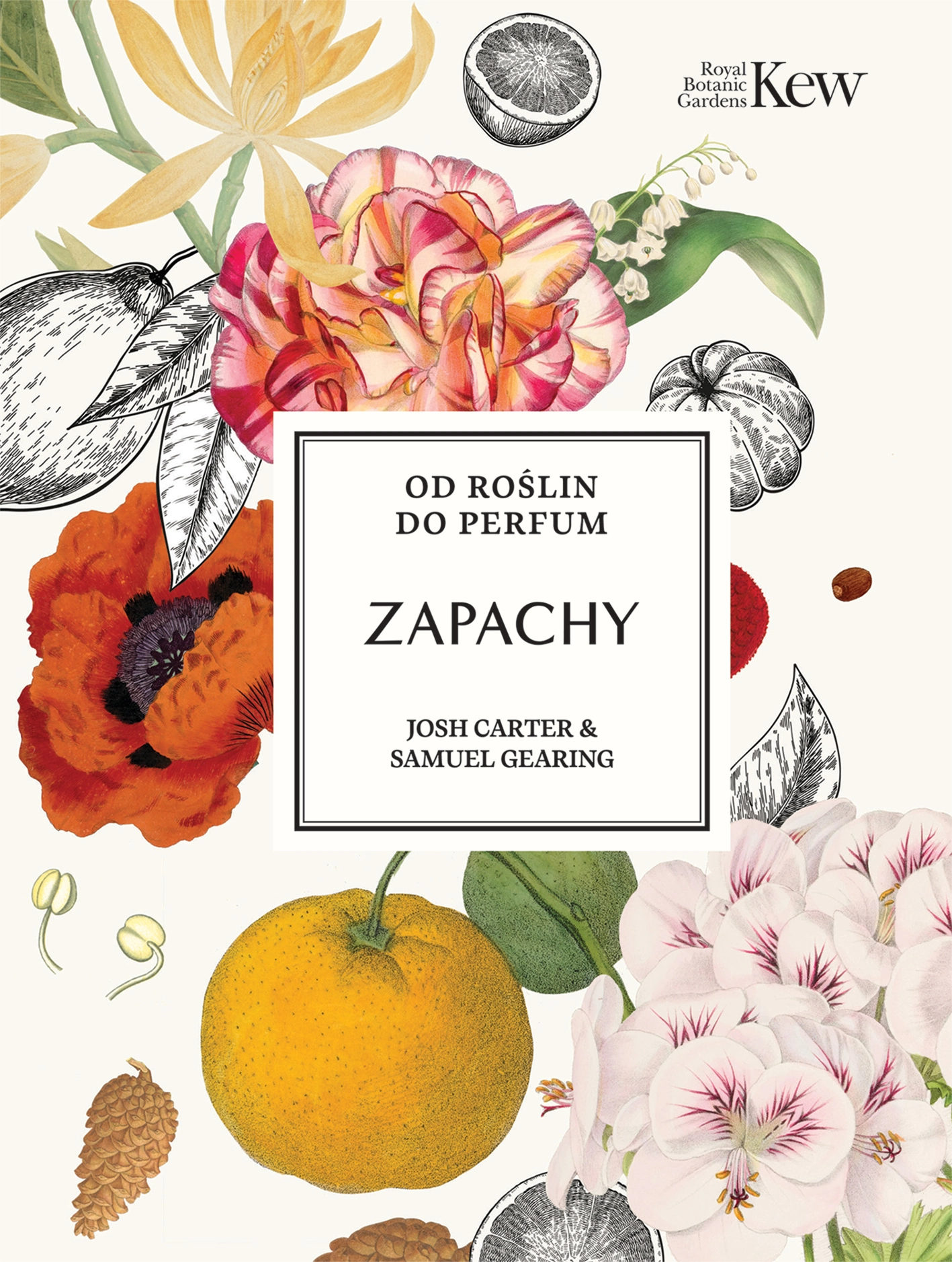 Zapachy. Od roślin do perfum - Książki