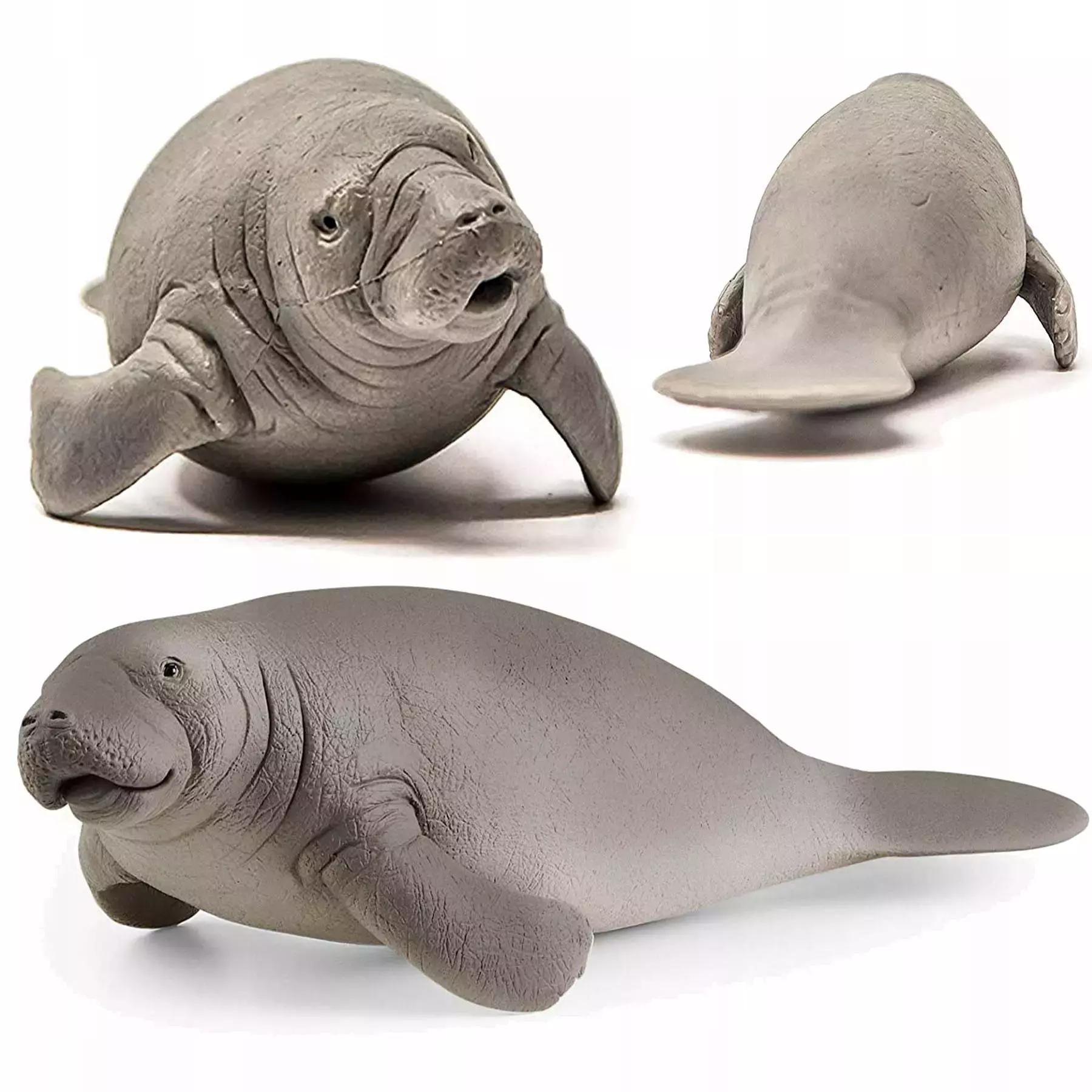 Wild Life. SLH14839. Manat